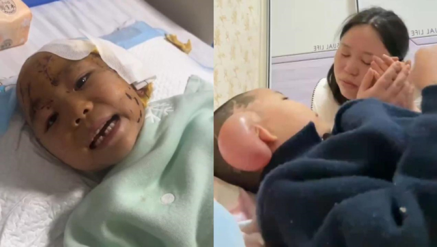 桑延温以凡追妻变追夫,管家婆管家婆资料大全,经济性执行方案剖析_手机版V9.71