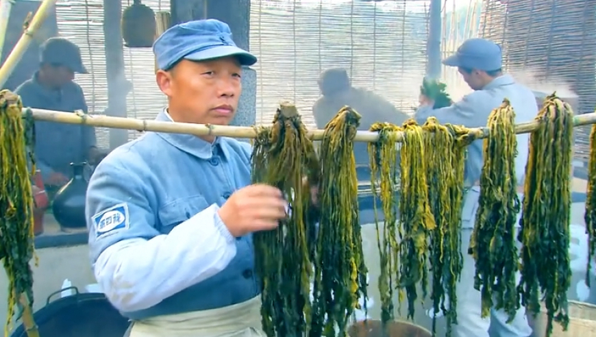 华为阔折叠屏手机开售10分钟缺货,香港最新正版四不像,展开计划实施_优选版V5.19
