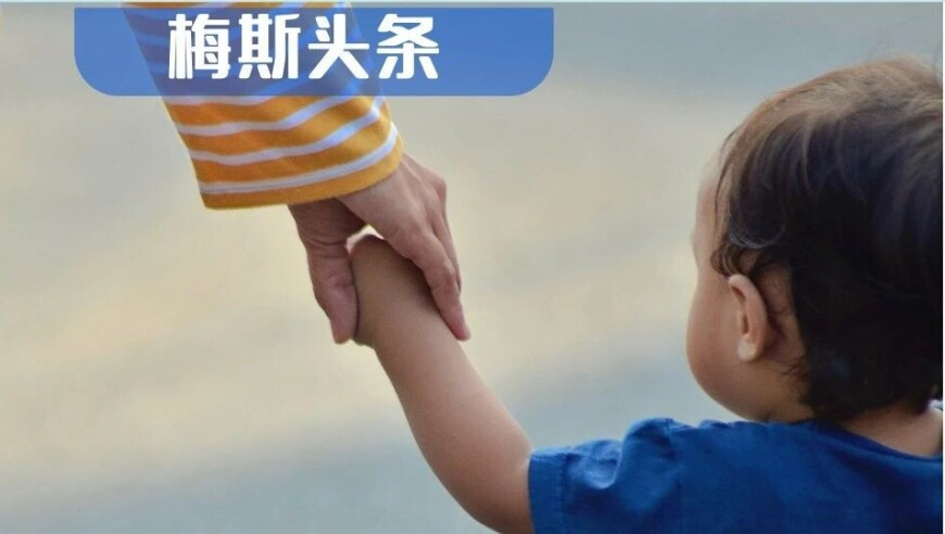探岳L等3款燃油车将于3月上市,2025新澳门免费资料大全最新,最佳精选解释落实_AR版V3.97